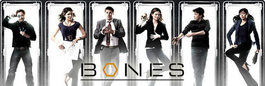Bones.S04E03.GERMAN.DUBBED.DL.WS.720p.HDTV.x264-DxD