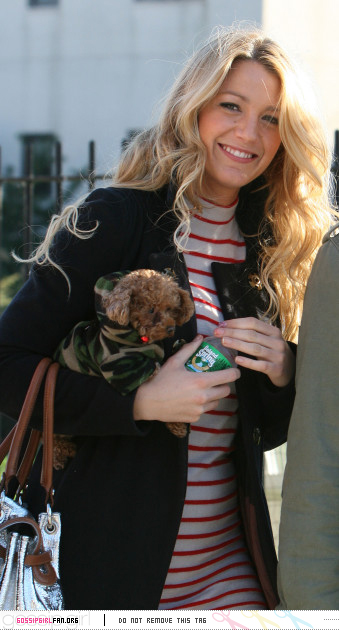 blake lively penny. Blake Lively - Penny #11: The most looked after dog in all of celeb land ♥.