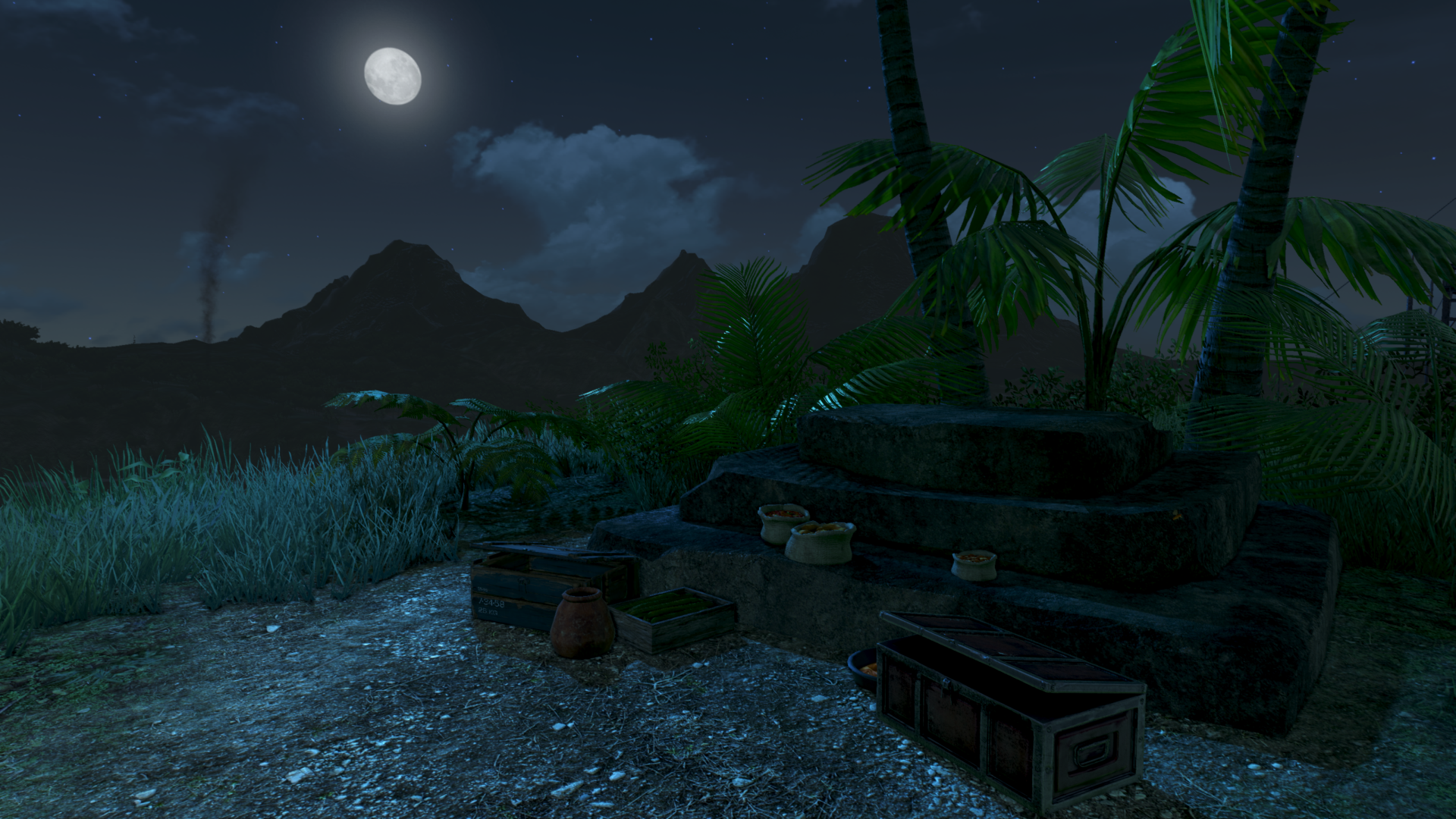 farcry3_2013_01_04_01sdj08.png
