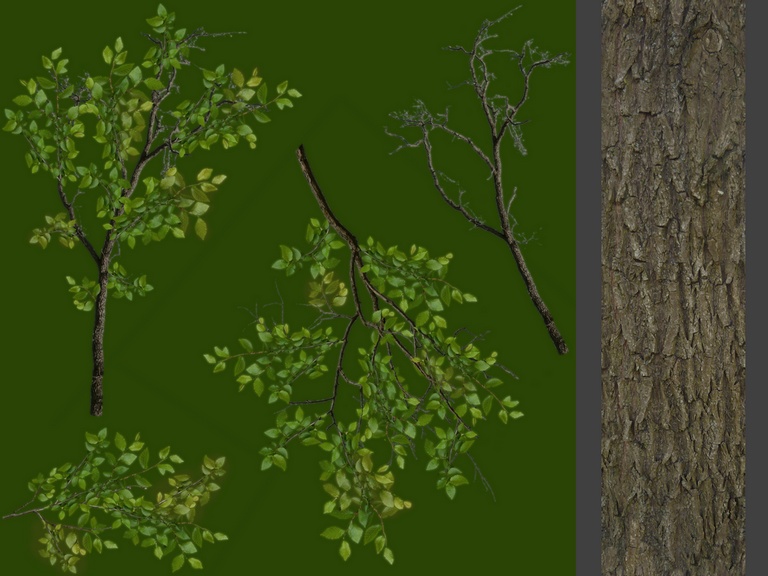 foliage_trees__rendery0pjp.jpg