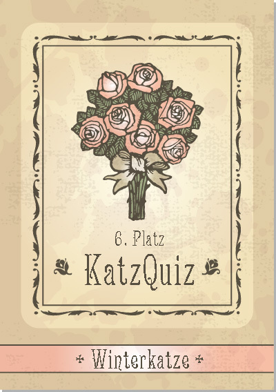 6. Platz KatzQuiz: Winterkatze