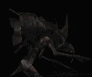 insect21juj1.gif