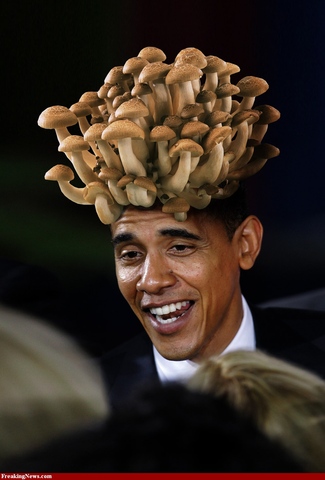 obama-mushroom-head-54ek5g.jpg
