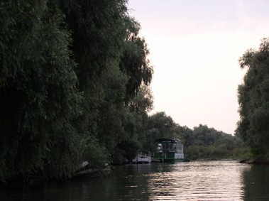 im Donaudelta