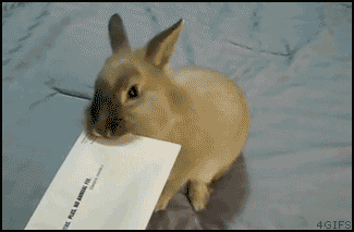 [Bild: rabbit_letter_opener1ubd.gif]