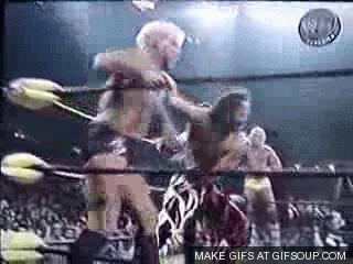 ric-flair-flop-oquly4.gif