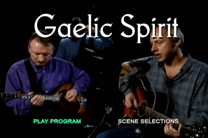 Gaelic Spirit - Bringing Together The Best In Irish Music (2