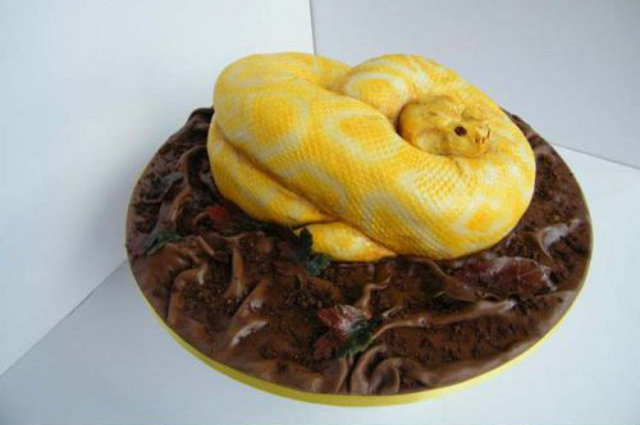 [Bild: snake-cake-284pmv.jpg]