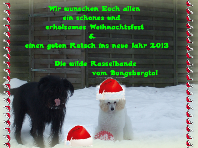An den Beitrag angehängtes Bild: http://www.abload.de/img/weihnachtsgrer0um0.jpg