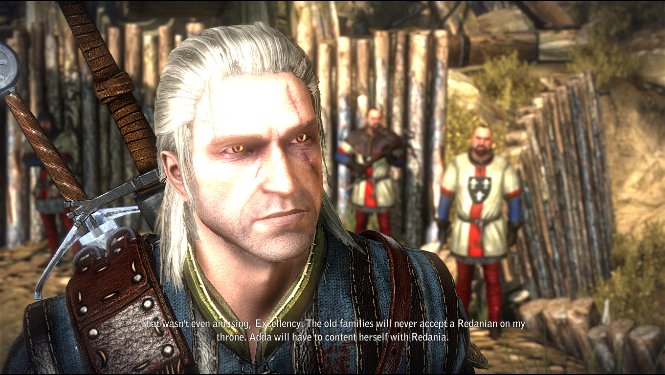 witcher22011-05-1711-2ntd0.png