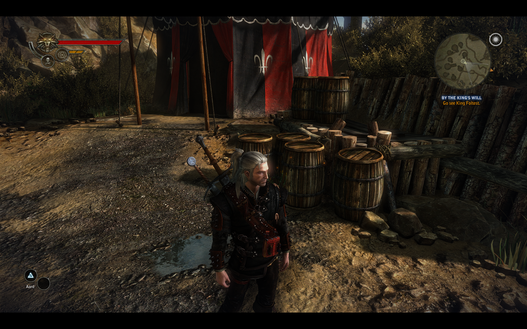 witcher22011-05-1722-0c7y3.png