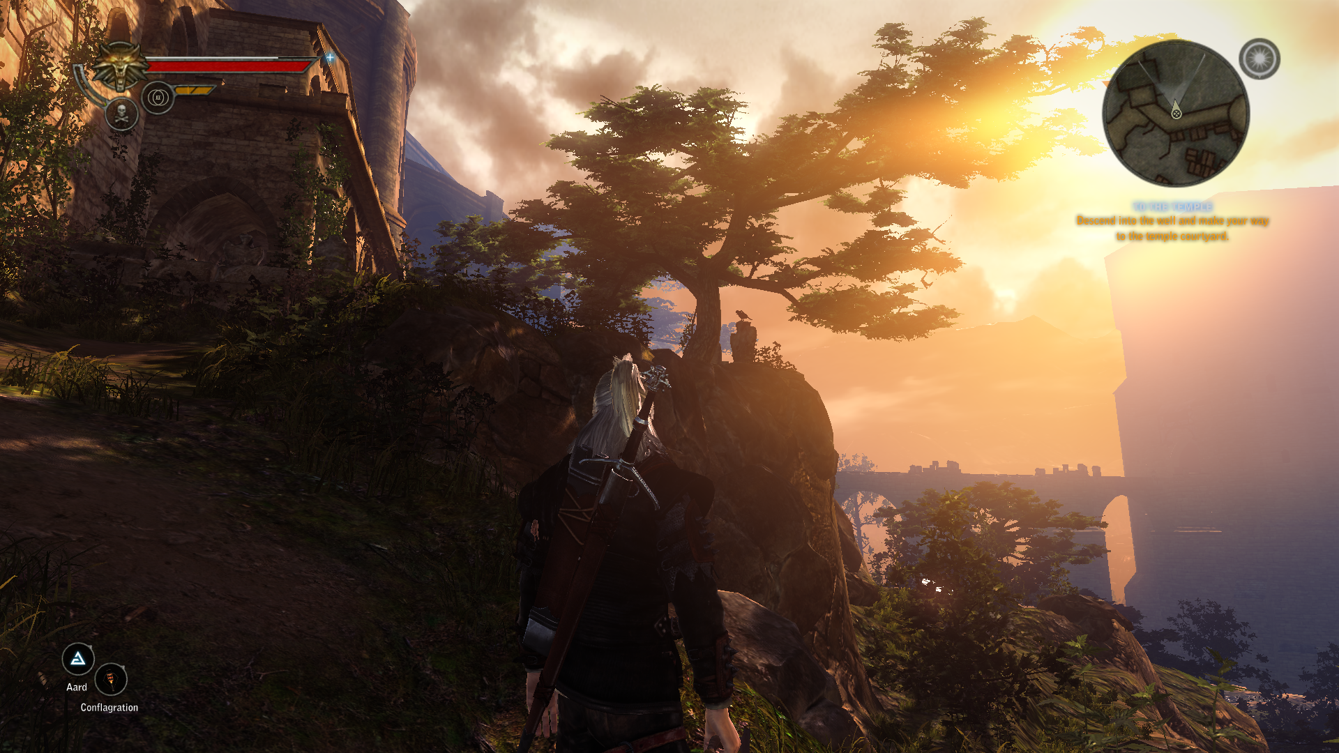 witcher22011-05-1900-1l76w.png