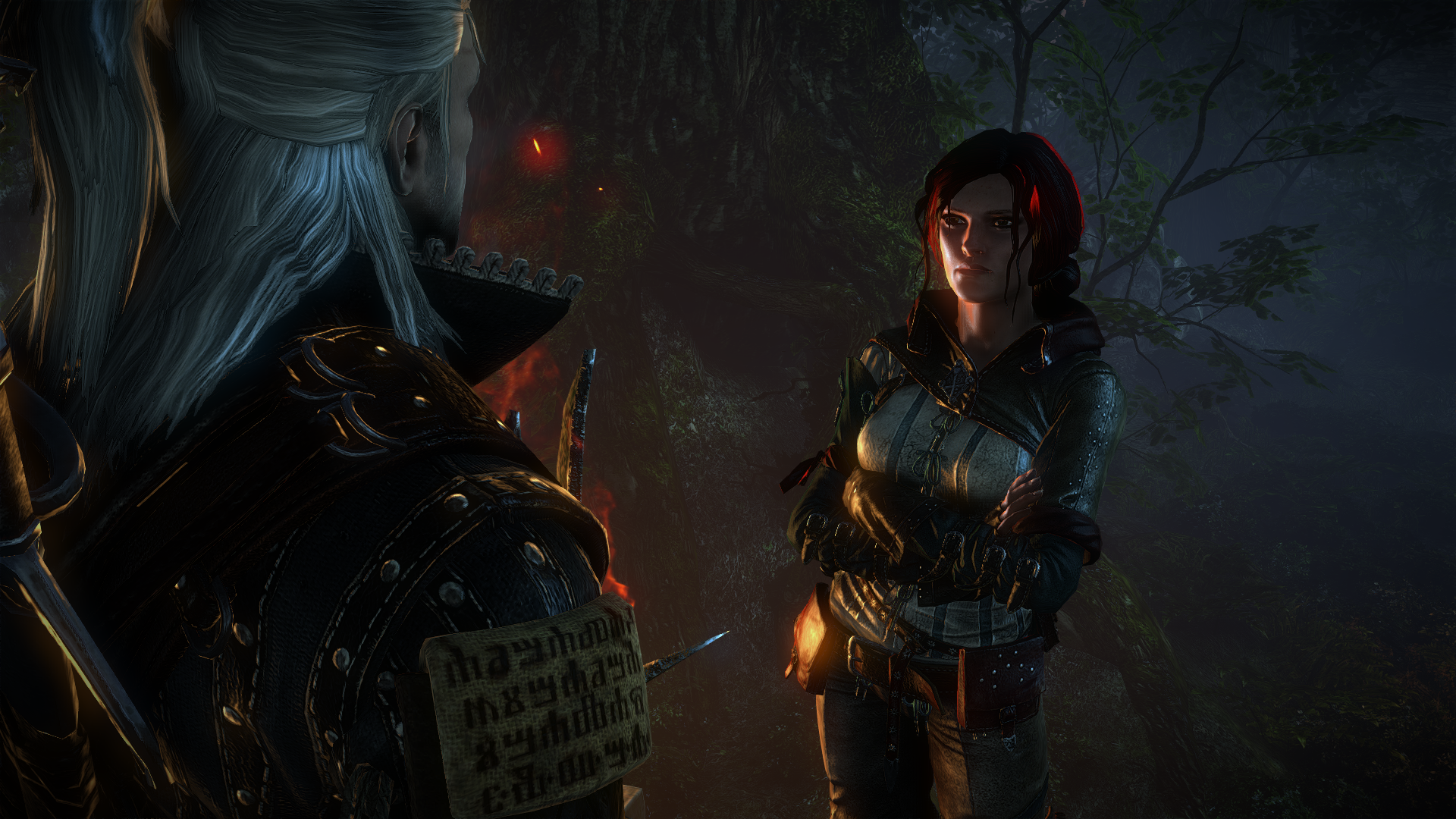 witcher22012-05-2301-ook8r.png