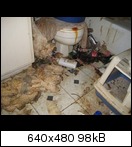 [Bild: disgusting_apartment_12po4.jpg]