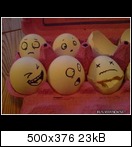 [Bild: eggfaces-15xu2o.jpg]