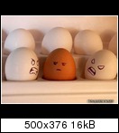 [Bild: eggfaces-82uou.jpg]