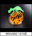 gecko2ktata.jpg