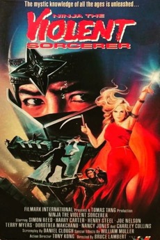 Ninja.The.Violent.Sorcerer.1986.GERMAN.DVDRIP.X264-WATCHABLE