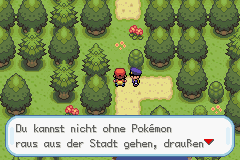 [German]Pokemon The Mystery of Fire